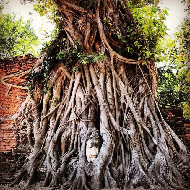 27503793_10210923758197727_6348760082675172302_o