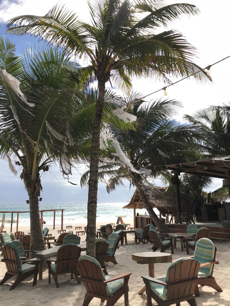 Bzjit4OKRfOSaDqjzjZb+g