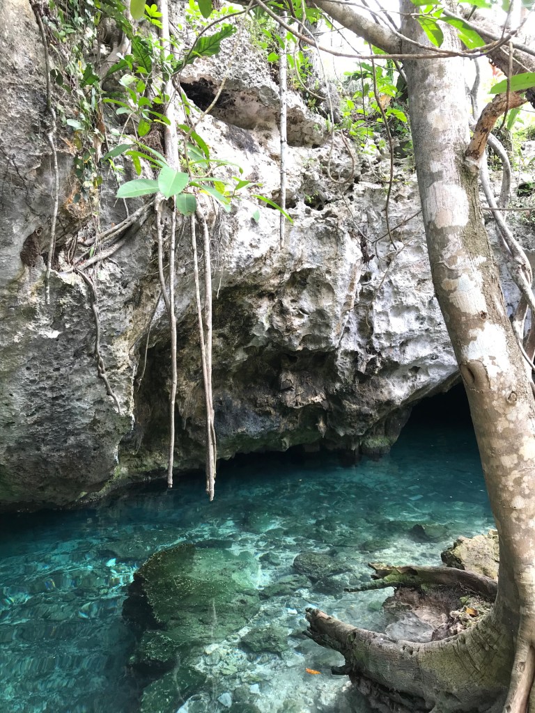 G1g0Eob3Rjm4HQJsHfvpgQ