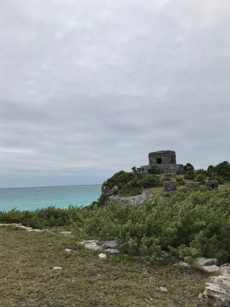 nXLq9tkOQSCbRGr3gVYy6A