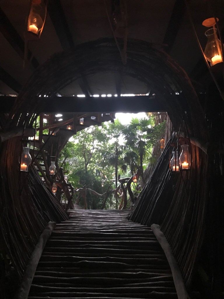 qZ6Q2Hi0RNao5EDYW5MXeA