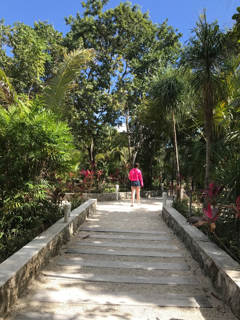 RBIkgB4hQS+UE2iFP1PGow